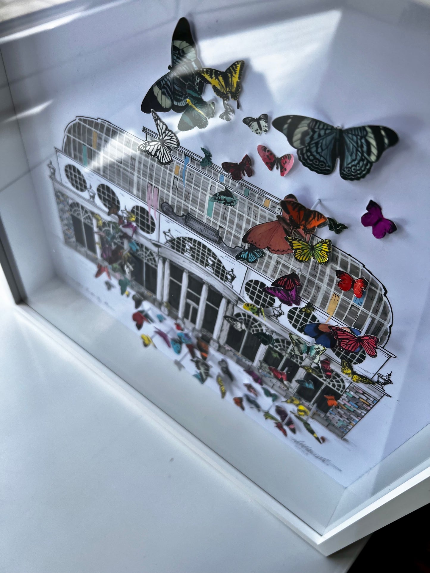 Lancaster Butterfly House - 3D Collage Diorama